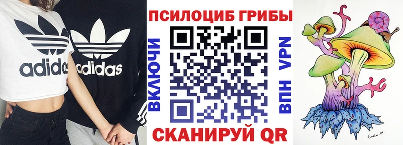 Галлюциногенные грибы прущие грибы  Озёры 