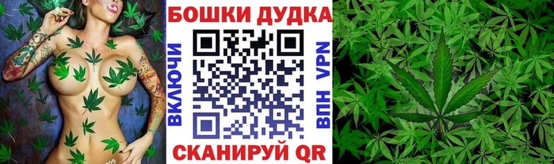 Бошки Шишки Amnesia  Озёры 